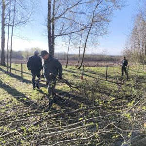 photo_2026-04-18_14-02-50 (2)