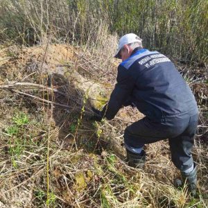 photo_2026-04-19_09-17-49