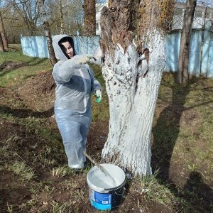 photo_2026-04-19_09-29-00