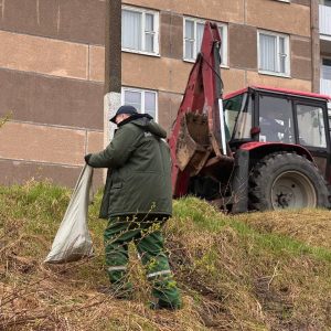 photo_2026-04-19_09-41-45