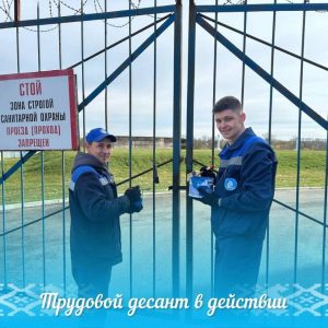 photo_2026-04-19_09-51-54